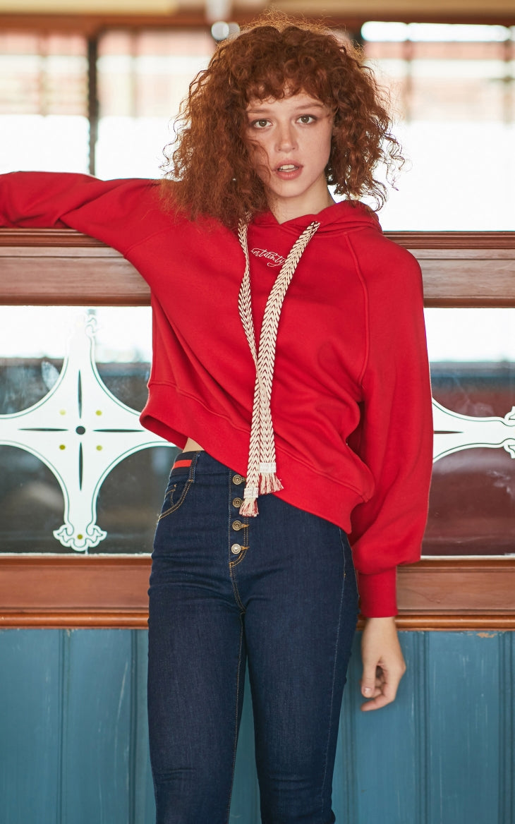 Embroidered Letter Print Brushed Hoodie