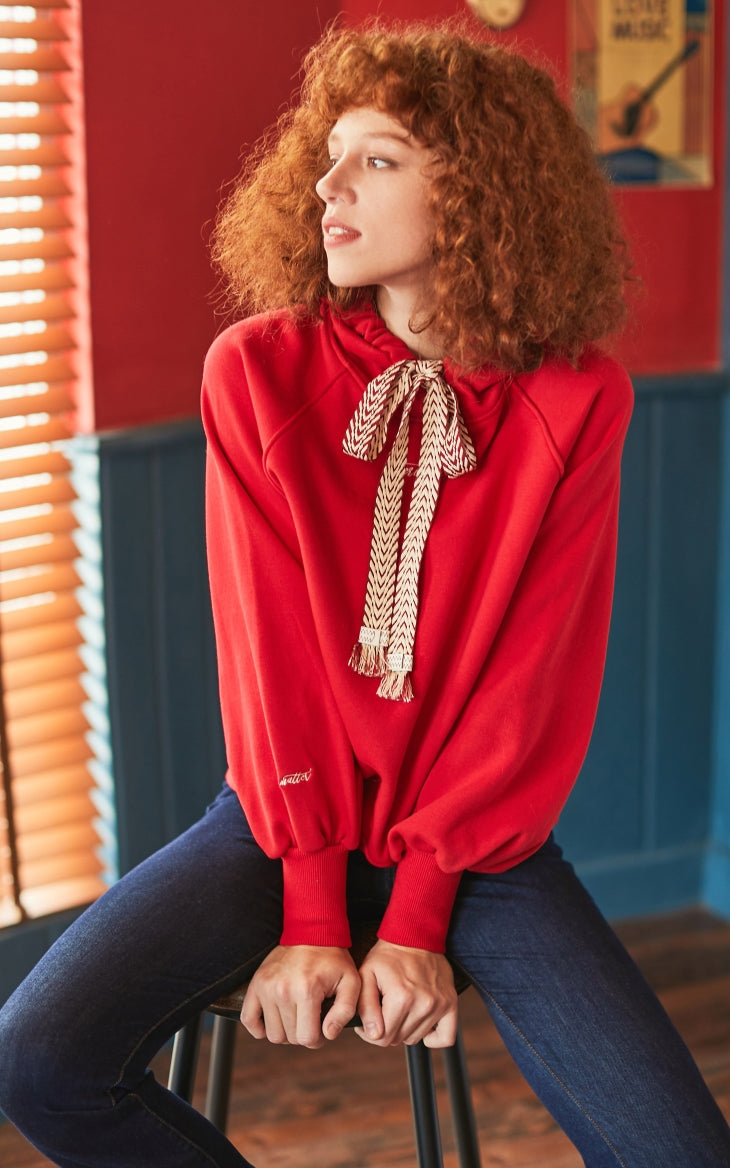 Embroidered Letter Print Brushed Hoodie