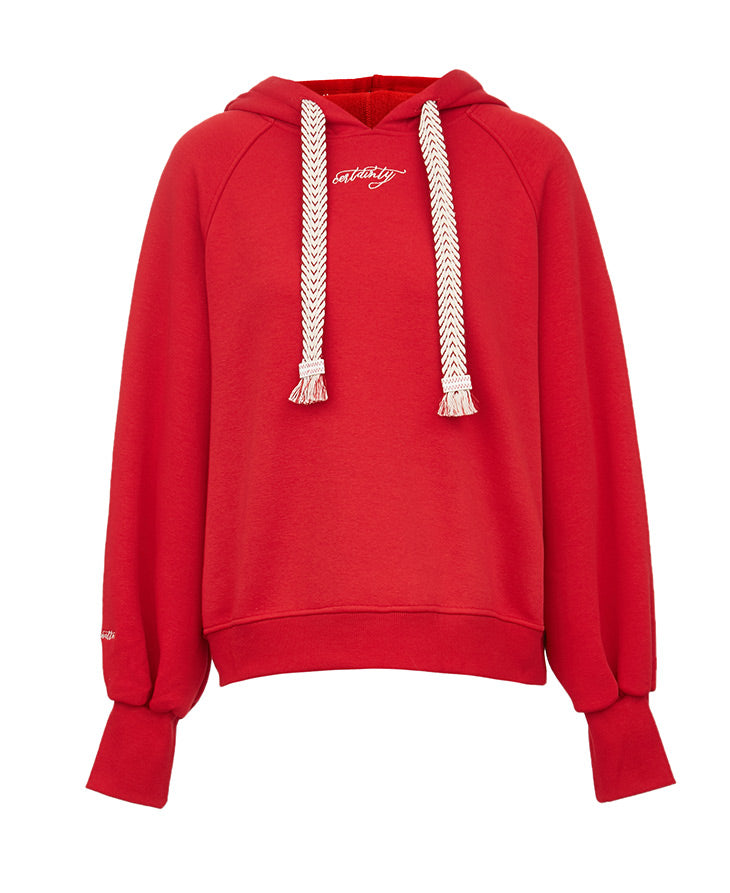 Embroidered Letter Print Brushed Hoodie