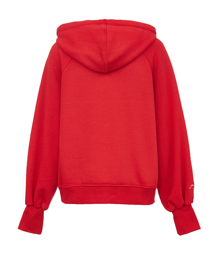 Embroidered Letter Print Brushed Hoodie