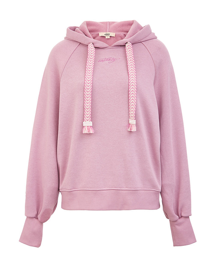 Embroidered Letter Print Brushed Hoodie