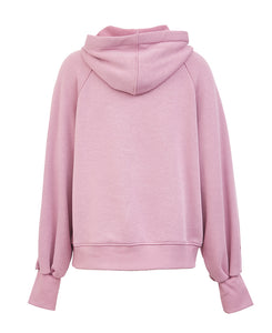 Embroidered Letter Print Brushed Hoodie