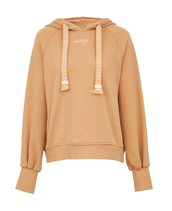 Embroidered Letter Print Brushed Hoodie