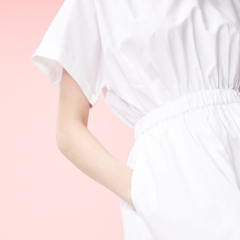 Batwing Sleeves Elasticized Waist Round Neck Pure Dress